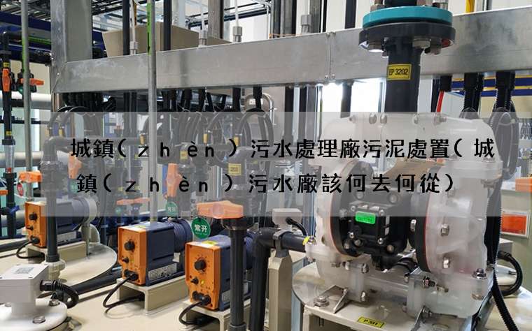 城鎮(zhèn)污水處理廠污泥處置(城鎮(zhèn)污水廠該何去何從)